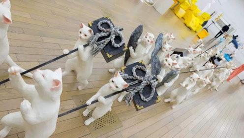 娱乐吃瓜君动画